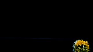 Amazing video viral short circus interested and amazing circus video
