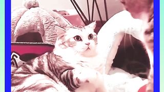 مقابلة قوية شاهد وشجع