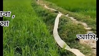 হা হা হা