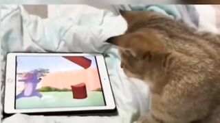 يحاول مساعدة توم للأمساك بجيري