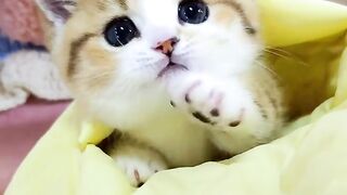 ايه الحلاوه دي ❤️❤️????????????????