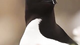 Amazing ???????? ????????