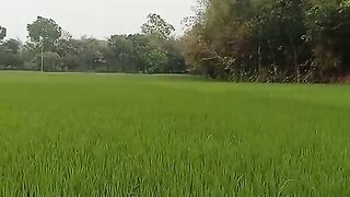 Village