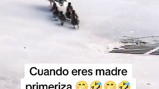 very funny videos try not to laugh 42