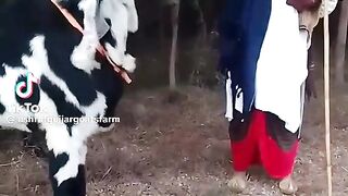 Beautiful bakra