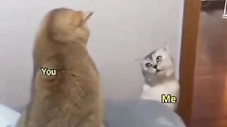 ????????????