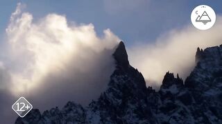 animal beautiful video