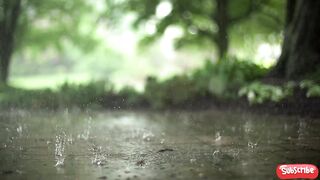 Sometimes we need to relax with beautiful nature 2