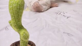 amazing videos