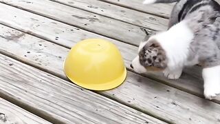 It's Playing Time