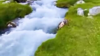 Full Nature Video. Beautiful ❤️ nature video.