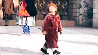 very funny videos try not to laugh 50