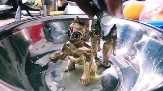 Gopal thakur puja