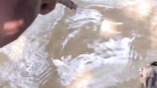 Fish ancient