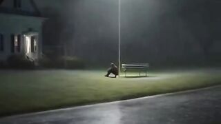 Beautiful view