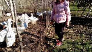 качки на волі jocks in the wild atlet di alam liar atletas na natureza