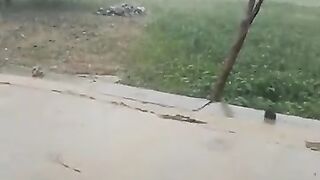 My village