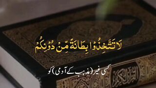 AL Quran tarjma urdu
