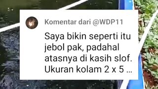 Jangan GAGAL FAHAM❗Kolam HEBEL yang dilapisi terpal itu untuk pembenihan bukan pembesaran