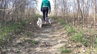 Vet approved homemade dog food recipes.
