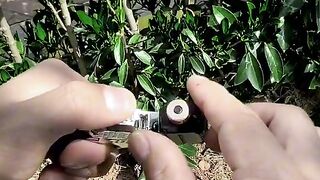 Mini gun