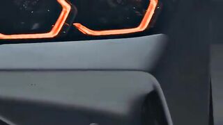 The quality pro car shot video super hear cat BMW