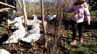 качки на волі jocks in the wild atlet di alam liar atletas na natureza