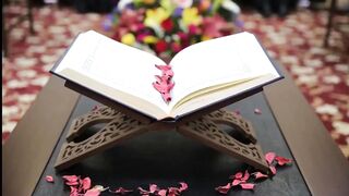محمد رسول الله والذين معه اشداء على الكفار رحماء بينهم.