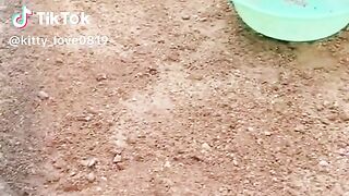 #duck