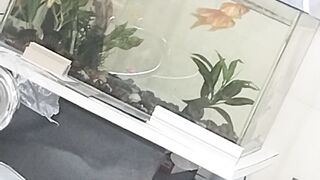 Colorful fishing in thi box|fish box