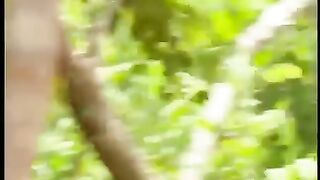 شقاوة قرد مع نمرين في الغابة
