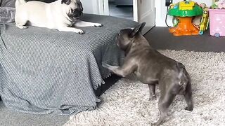 It's quarrel Time
