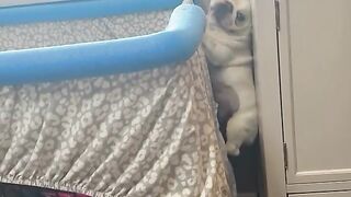 It's Playing Time