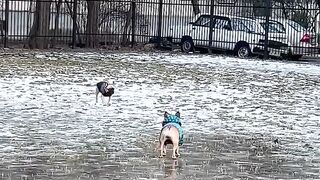 Playing Outside