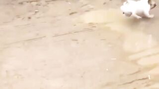 Jumping