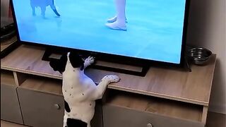 watching TV
