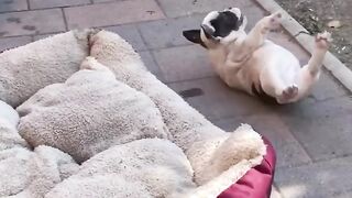 Playing Rapidly