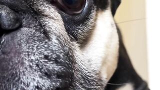 Her Cute Eye