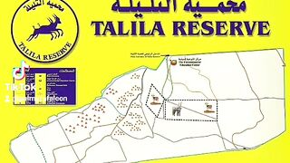 محمية التليلة مدينة تدمر