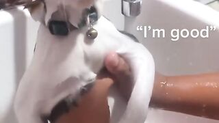 "Feline Funnies: The Ultimate Compilation of Hilarious Cat Moments!"