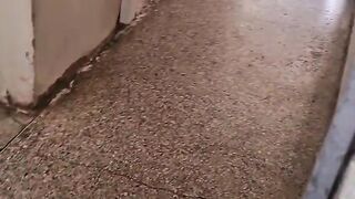 فاش كنربي شي جرو صغير ولكن صوتو كبير