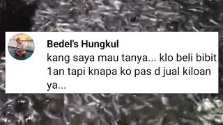 Kenapa kalau beli bibit lele EKORAN tapi jual lele konsumsi DIKILO❓ Pertanyaan ini seperti KONYOL tapi maknanya dalam