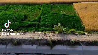 Drone prank with old man????????