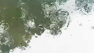 Jika LARVA LELE sudah seperti ini berarti ENDAPAN dasar kolam harus dibersihkan
