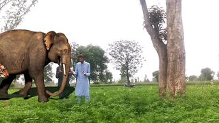 Vfx magic video funny video #short # magic #funny video #munir bhai #viral #grow #foruyou #foryou page #capcut #viralvideo #fyp #vfx