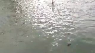 Ngabuburit sambil ngasih makan lele