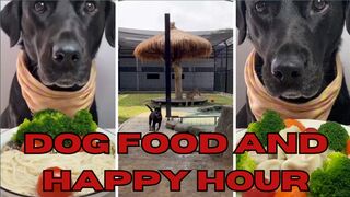 Best & amp; Worst Dog food and happy hour Trends
