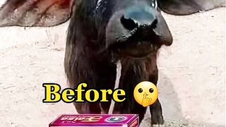 This is the wonder of faiza Beauty Cream