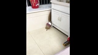 Most funny VIRAL  moments part 2