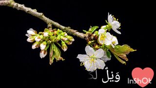 سورہ اَلْهُمَزَة